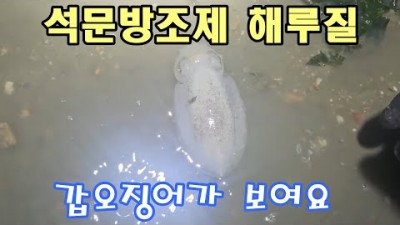 충남 당진 석문방조제 소라 해루질 가볼만한 곳, 소라, 낚지, 쭈꾸미, 꽃제, 갑오징어 해루질 정보