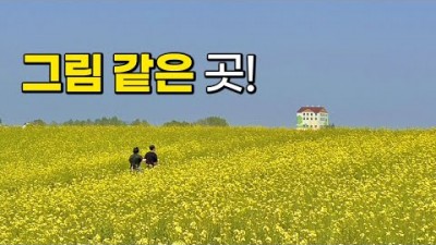 서울근교 당일치기 대중교통으로 가도 좋을 가볼만한 곳 여행지 추천 3곳, 5월 꼭 가봐야 할 곳 추천 여행지, 안성팜랜드, 평택시 농업생태원, 부천 백만송이 장미원