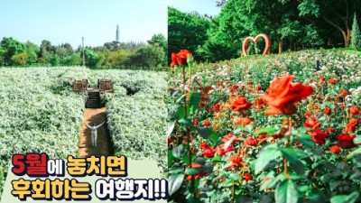 5월에 가볼만한 곳 여행지, 5월에 가면 좋은 여행지 추천, 5월 국내여행지 갈만한 곳 추천 정보