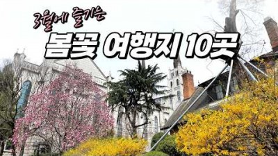 국내 봄 여행 갈만한 곳