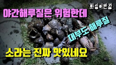 수도권 대부도 야간 워킹 소라, 박하지 해루질 정보