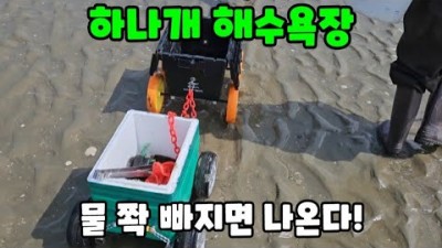인천 무의도 하나개 해수욕장 해루질, 무의도 하나개 소라, 쭈꾸미, 골뱅이 해루질, 하나개해수욕장 워킹 주간 해루질 정보