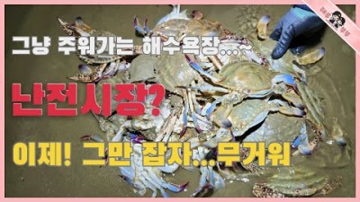 서해안 해루질 연포,몽산포,달산포,청포대,마검포 해수욕장 꽃게 해루질 꽃게시즌 포인트 및 조황 정보