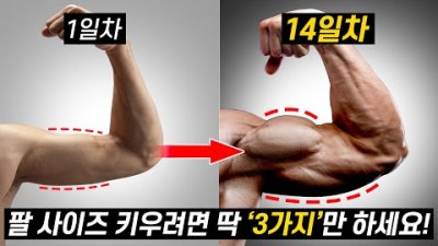 팔 운동 팔 사이즈 키우는 운동, 과학적으로 입증된 팔 사이즈 키우는 가장 빠른 방법, 이두 삼두 크게 만드는 3가지 슈퍼세트 루틴 정보