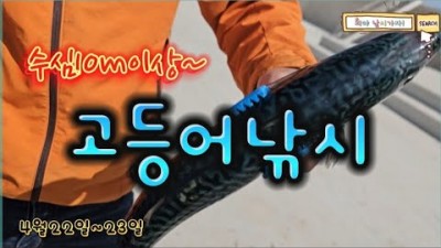 경남 통영 신항만 외항 방파제 고등어 낚시 정보