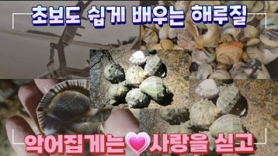 부안 변산 해루질 가볼만한 곳 하섬 해루질 소라, 갱, 꼬막, 골뱅이, 맛조개 야간워킹 해루질 정보