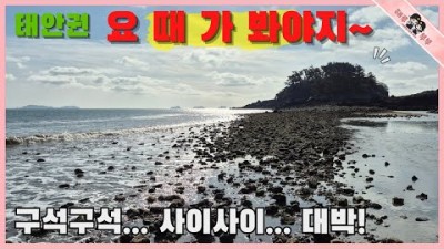 서해안 해루질 할만한 곳, 태안권 해루질 포인트 및 개조개 포인트 정보[출처:유튜브-해루부부]