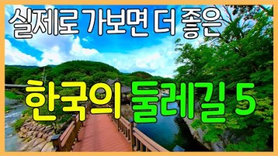 대한민국 여행지 추천, 걷기 좋은 여행지 둘레길 가볼만한 5곳, 가보면 좋을 국내 여행지 픙광 좋은 트레킹 코스 추천 함양,영동,수원,포항,철원둘레길 정보