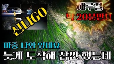 수도권 해루질 낙지, 박하지 해루질 대리만족 영상, 낙지 금어기 해제 정보
