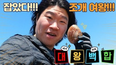 충남 태안 해루질 가볼만한 곳 안면도해수욕장 해루질, 대합 동죽 맛조개 해루질 정보