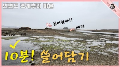 서해 해루질 가볼만한 곳, 충남 태안 안면도 조개부리 마을 체험장 해루질 할만한 곳, 바지락, 소라, 쏙 해루질 갈만한 곳