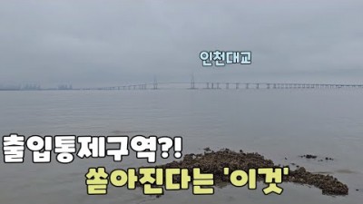 인천 영종도 해루질 가볼만한 곳, 영종도 인천대교 갯벌 해루질 갱, 박하지, 소라 해루질 포인트 소라 해루질 할만한 곳