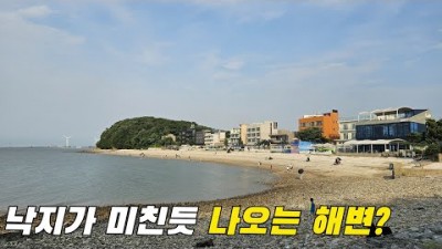 수도권 해루질 구봉도 해변 낙지 해루질 삽질해루지 팁 방법 정보