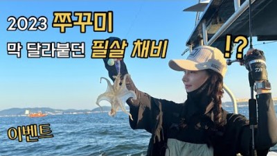 2023년 쭈꾸미 시즌 시작 쭈꾸미 선상(오천항 야무진2호)낚시 에기 채비 및 조황 정보