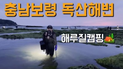 충남 보령 독산해수욕장 해루질캠핑 갈만한 곳 정보