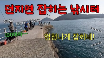차박 낚시,섬 낚시,방파제 낚시 갈만한곳 추천