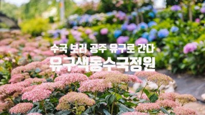 충남 공주 가볼만한 곳 6월 여행지 추천 유구색동수국정원 당일 치기 여행, 가족나들이, 인생사진, 데이트 코스 추천 갈만한 곳