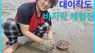 서울 근교 해루질 체함 가볼만한 곳, 대이작도 섬여행 바지락 체험장 체험료 및 조과 정보