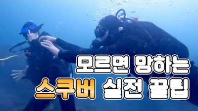 스쿠버다이빙 체험, 자격증 준비 알아두면 좋은 꿀팁 슈트입기, 수면멀미, 화장실, 이퀄라이징, 복장 장갑, 입수방법 정보