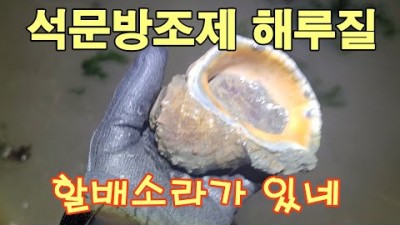 서해안 낙지, 소라 해루질 갈만한 곳 석문방조제 해루질, 소라,낙지 해루질 가볼만한 곳 충남 당진  석문방조제 해루질 정보