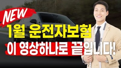 2024년 새로 개정된 운전자보험 정리 및 비교, 운전자보험 11개 보험사 완벽비교 및 운전자 보험 추천 정보(다이렉트 보험보다 좋은 보험)[보험테일러]