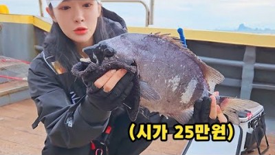 제주 추자도 선상 낚시 포인트, 추자도 선상낚시 돌돔 참돔 벵에돔 낚시 절명여 낚시 포인트  및 조황 정보