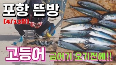 경북 포항 신항만 낚시, 포항 신항만 고등어 낚시 조황, 고등어 초간단 손질법, 고등어 낚시 포인트, 고등어 전갱이 채비 및 낚시 조황 정보