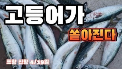 경남 포항 낚시 갈만한 곳 신항만 뜬방파제 낚시, 포항 신항만 뜬방 고등어 낚시 정보
