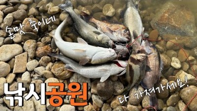 인천 선재낚시공원 낚시 갈만한 곳, 선재도낚시공원 참돔 농어 문어 낚시 조황 정보