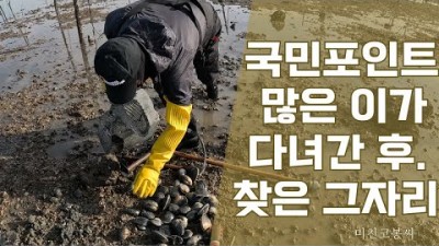 개조개 해루질 개조개 구멍 보는 방법 및 채취방법 정보[미친 코봉씨]