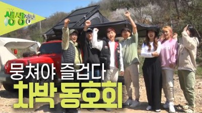 [2TV 생생정보] 차박 캠핑 차박 여행을 사랑하는 사람들, 차박을 즐기는 방법, 차박 동호회 KBS230414방송