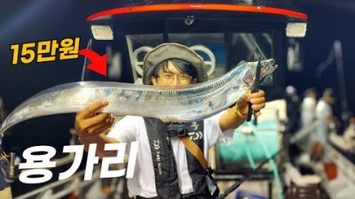 제주도 선상 갈치 낚시 가볼만한 곳, 제주도 선상(승룡호) 갈치 낚시 채비,미끼 조황 정보