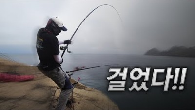 전남 신안군 흑산면 태도(상태도) 돌돔(뺀지) 낚시 포인트 및 조황 채비 정보
