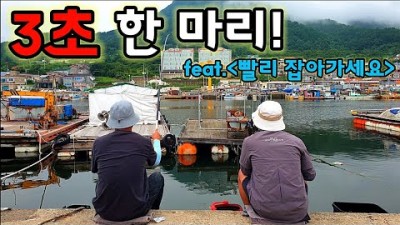 경남 거제 가조도 낚시, 발판 좋은 유교 방파제 내항 낚시, 민장대 낚시 고등어,놀래미, 망상어, 전갱이, 감성돔 포인트 및 조황 정보