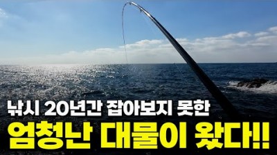 제주도 벵에돔 낚시 제1회 NS 알바트로스 벵에돔 마스터스 컵 대회 영상 및 감성돔, 벵에돔 포인트 조황 정보[박과장TV]