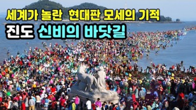전남 진도 여행, 진도 신비의바닷길 축제, 진도 꼭 가야할 축제, 진도 갈만한 축제 기적의 바닷길 횡단 체험 신비의바닷길 축제 정보