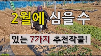 2월에 심을 수 있는 작물, 겨울에 심을 수 있는 작물, 2월 노지 텃밭에 심을 수 있는 작물 정보[출처:유튜브-필레오TV]