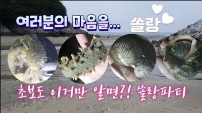 서해안 해루질 가볼만한 곳 전북 부안 변산 하섬 해루질 갈만한 곳 바지락 맛 갱 박하지 소라 해삼 야간 해루질 할만한 곳