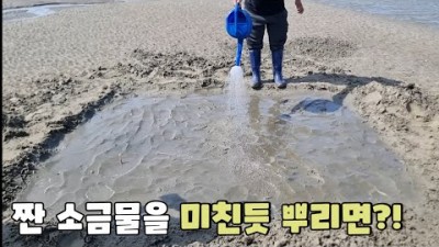 태안 해루질 가볼만한 곳 태안 진산리 어촌계 갯벌체험장 동죽 맛조개 백합 해루질 해볼만한 곳 진산리 갯벌체험장 체험비 및 정보