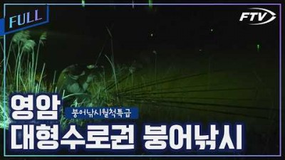 영암 붕어 낚시 갈만한 곳, 영암 대형수로 붕어 낚시 포인트 및 조황 정보