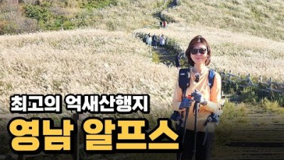 억새 관광 산행 가볼만한 곳 울산 영남알프스 산행 정보, 광활한 은빛 억색 물결 영축산~간월산 코스 산행 정보