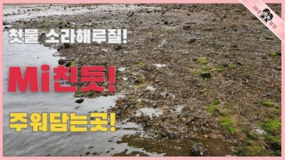 안면도 소라 해루질, 첫 물때에 주워담는 해루질 정보 대리만족 영상