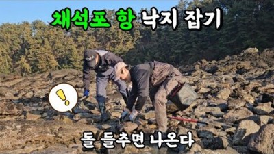 충남 태안 채석포항 해루질,겨울 주간 낙지 해루질 정보[가다구TV]