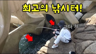 전남 섬 낚시 가볼만한 곳, 신안 상태도 섬 낚시 구멍치기, 방파제 낚시 할만한 곳 포인트 및 조황 정보[팀쎈언니]