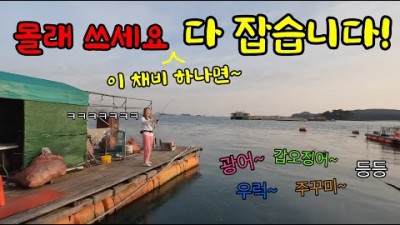 충남 안면도 장곰항 용궁좌대 낚시 가볼만한 곳, 좌대 낚시 광어, 우럭, 갑오징어 낚시 미끼 및 조황 정보