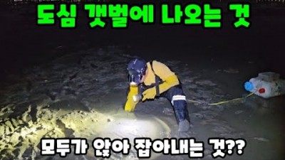 수도권 해루질 시화방조제 해루질, 꽃게 소라 박하지 갯가재 야간 해루질 정보