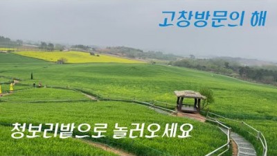 5월에 갈보만한 곳 전북 고창 청보리밭 축제, 5월 꼭 가봐야할 곳 고창 도깨비 촬영지 청보리밭 축제 (5월7일까지)정보