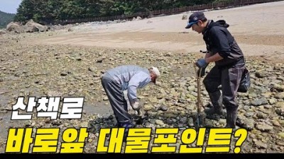 수도권 해루질 갈만한 곳, 인천 승봉도 소라 낙지 해삼 해루질 포인트 해루질 할만한 곳