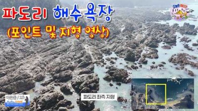 태안 가족 여행 해루질 갈만한 곳, 태안 파도리 해수욕장 소라, 박하지, 해삼, 성게, 낙지 해루질 포인트 및 조황 정보