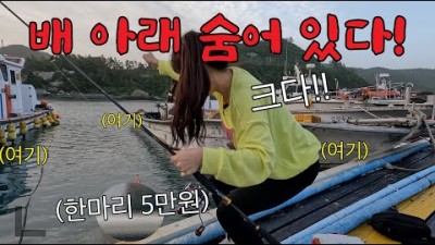 방파제 구멍치기 낚시, 전남 해남 송지면 땅끝마을  방파제 낚시 구멍치기 갑오징어 낚시 해볼만한 곳 포인트 및 정보